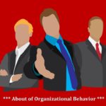 What do you know about Organizational Behavior