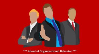 Organizational Behavior: What do you know about?