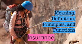 Meaning, Definition, Principles, and Functions of Insurance