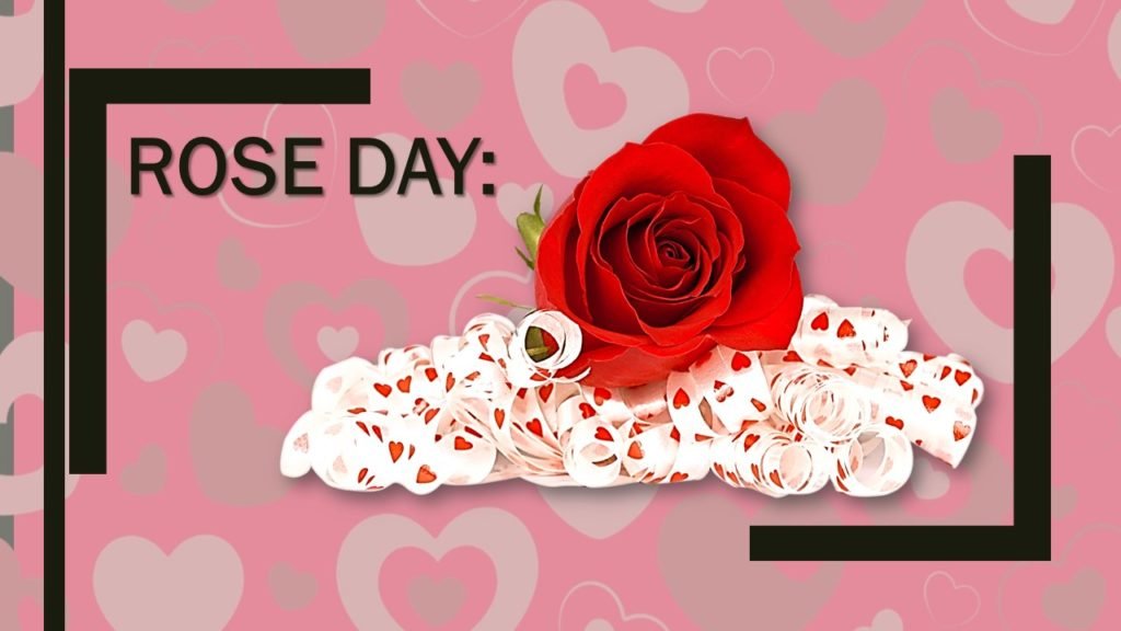 Rose Day