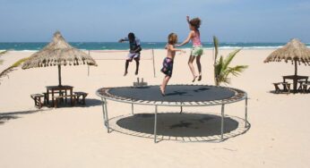 15 ft Trampoline with Basketball hoop best tips for garden