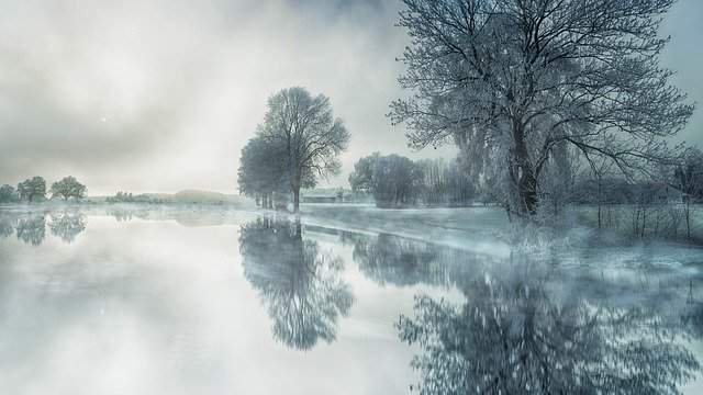 Nature Tree Fog Waters Snow lake