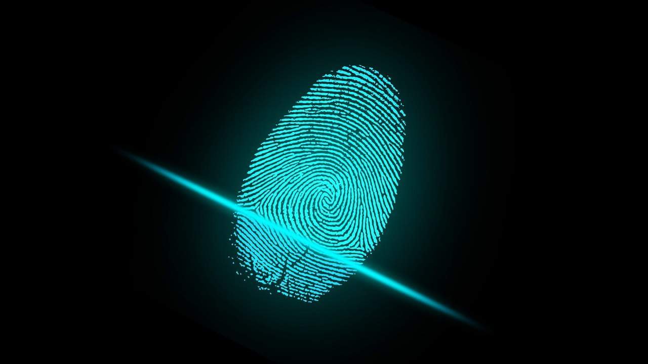 Biometric Authentication Methods Information Technology Essay Image