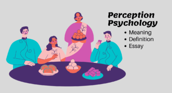 What is Perception in Psychology Essay?