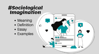 Sociological Imagination Essay and Examples