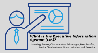 What is the Executive Information System (EIS)?
