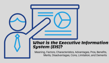 What is the Executive Information System (EIS) Image