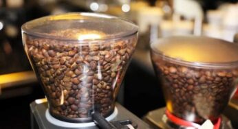 The 3 Different Types of Coffee Grinders and Best to Buy