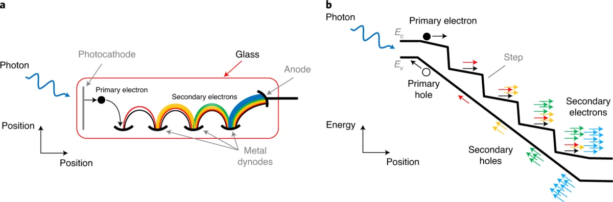 Understanding the Mechanism of Avalanche Photodiode Amplification Image