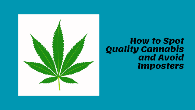 How to Spot Quality Cannabis and Avoid Imposters Image