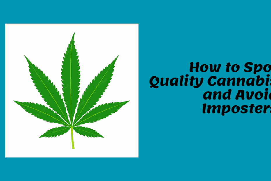 How to Spot Quality Cannabis and Avoid Imposters Image