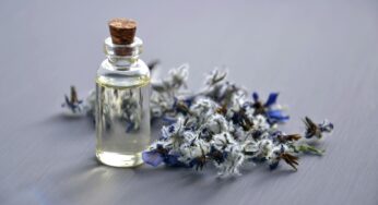 Scent and Sensibility: The Art of Choosing the Perfect Fragrance